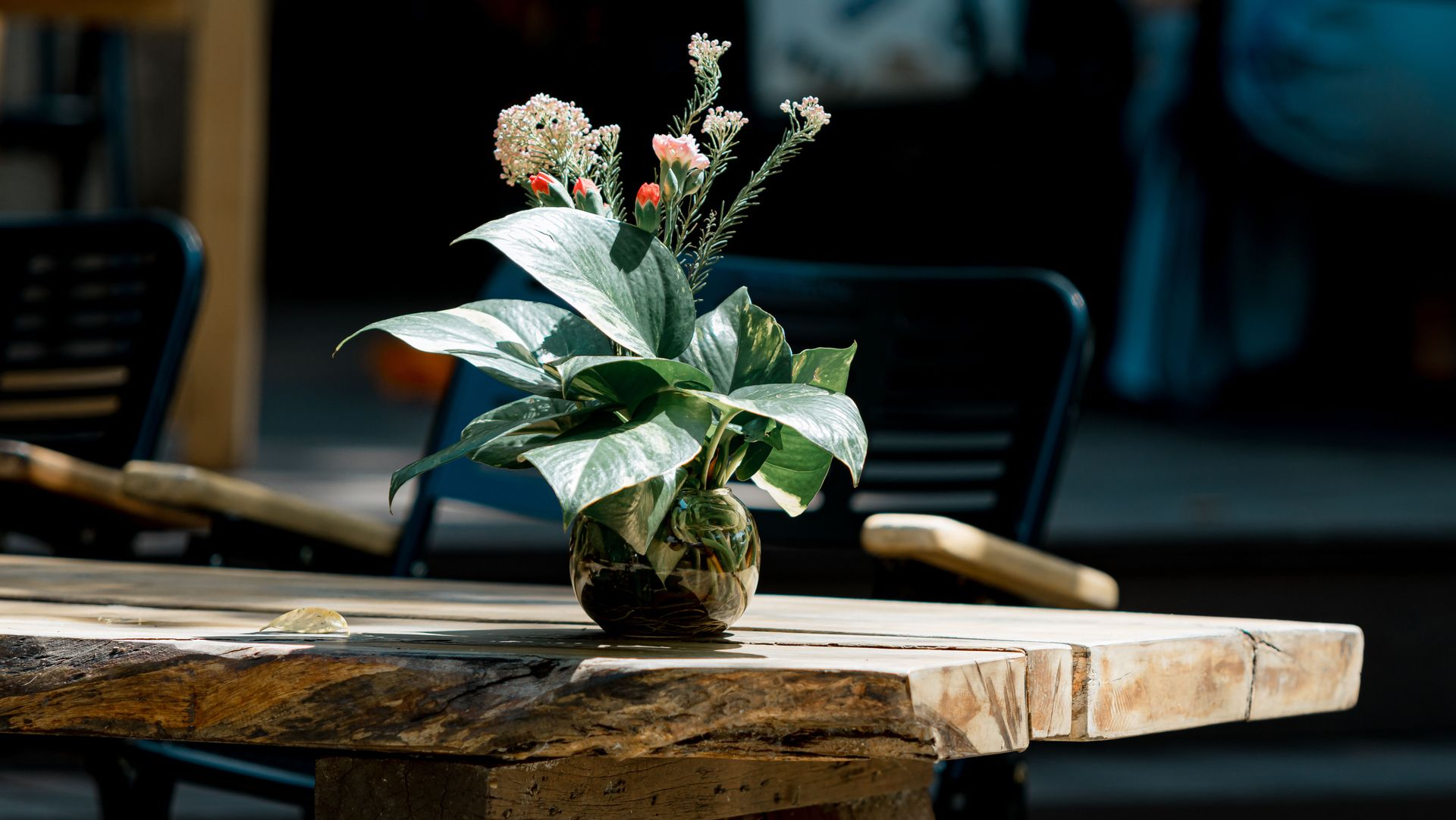 Small potted plant with white flowers on a rustic wooden table in a dimly lit cafe