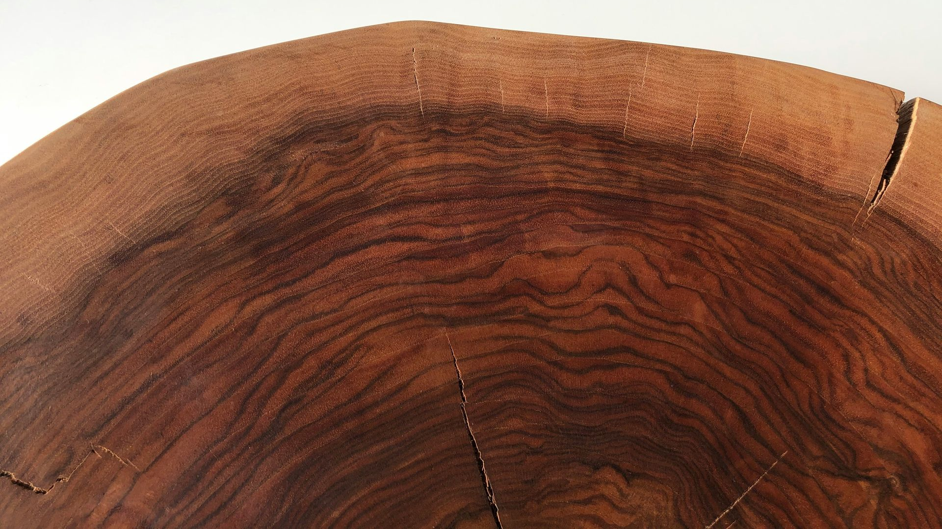 Close-up of a brown wood cross-section with visible growth rings and cracks