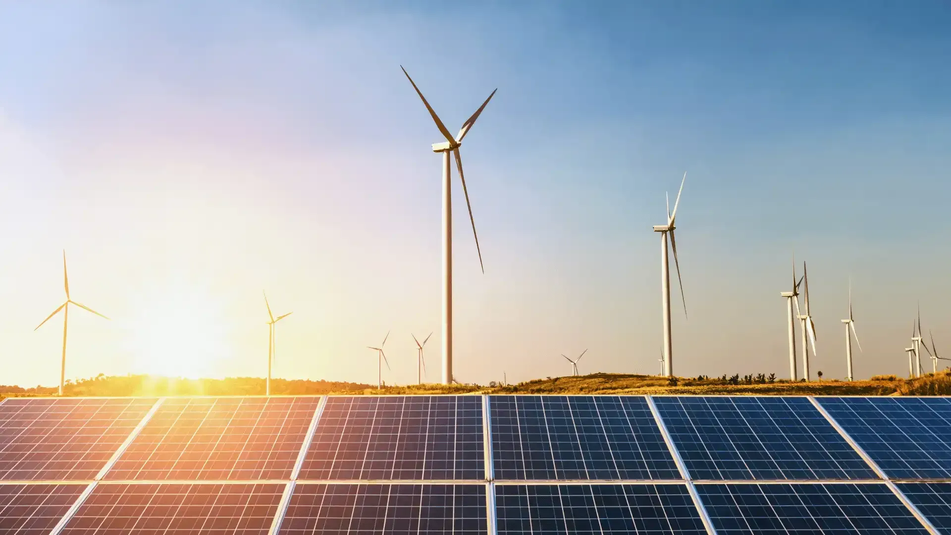 solar panels and wind turbines in a field at sunset