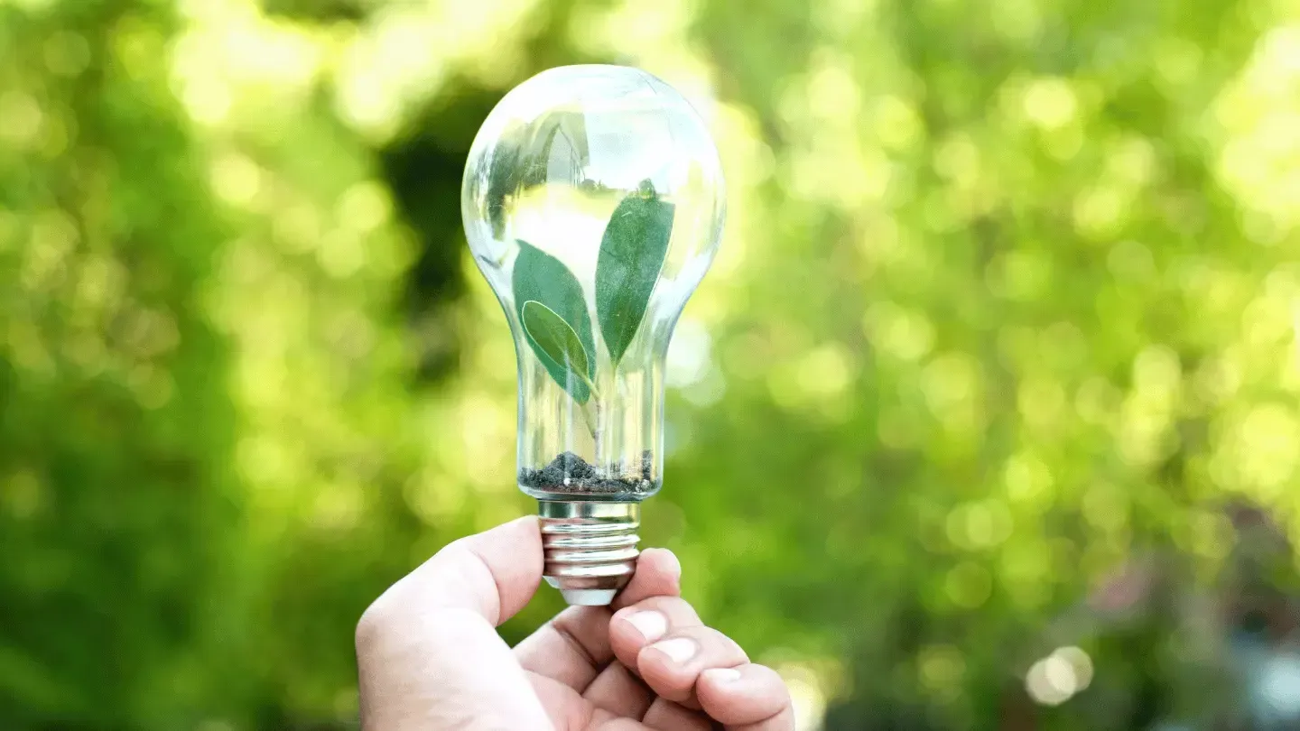 A person is holding a light bulb with a plant inside of it.
