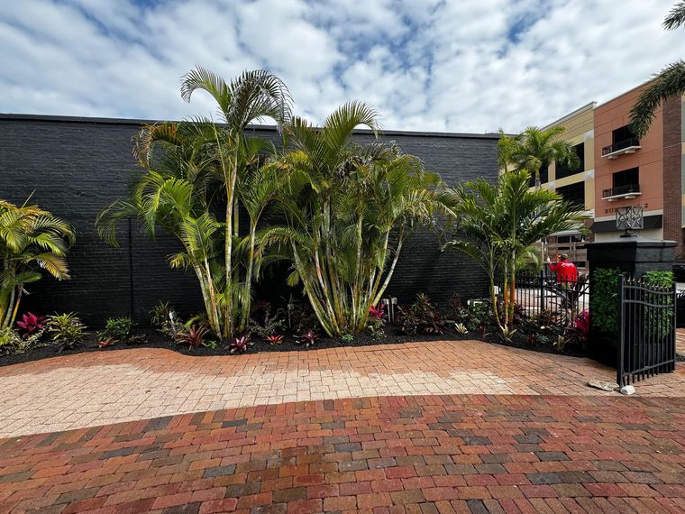 island-coast-landscapes-inc-lawn