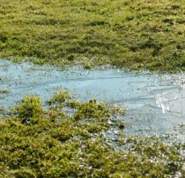 island-coast-landscapes-inc-drainage-erosion-solutions