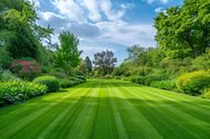 island-coast-landscapes-inc-lawn-maintenance-charlotte-county
