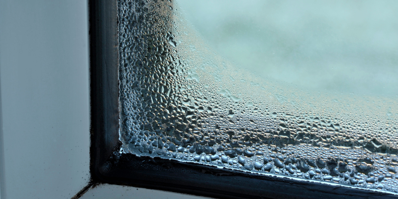 Window Replacement Franklin TN