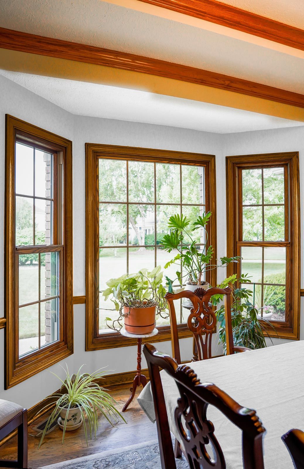 Bright sunroom with wooden window frames, potted plants, and a dining chair by the windows