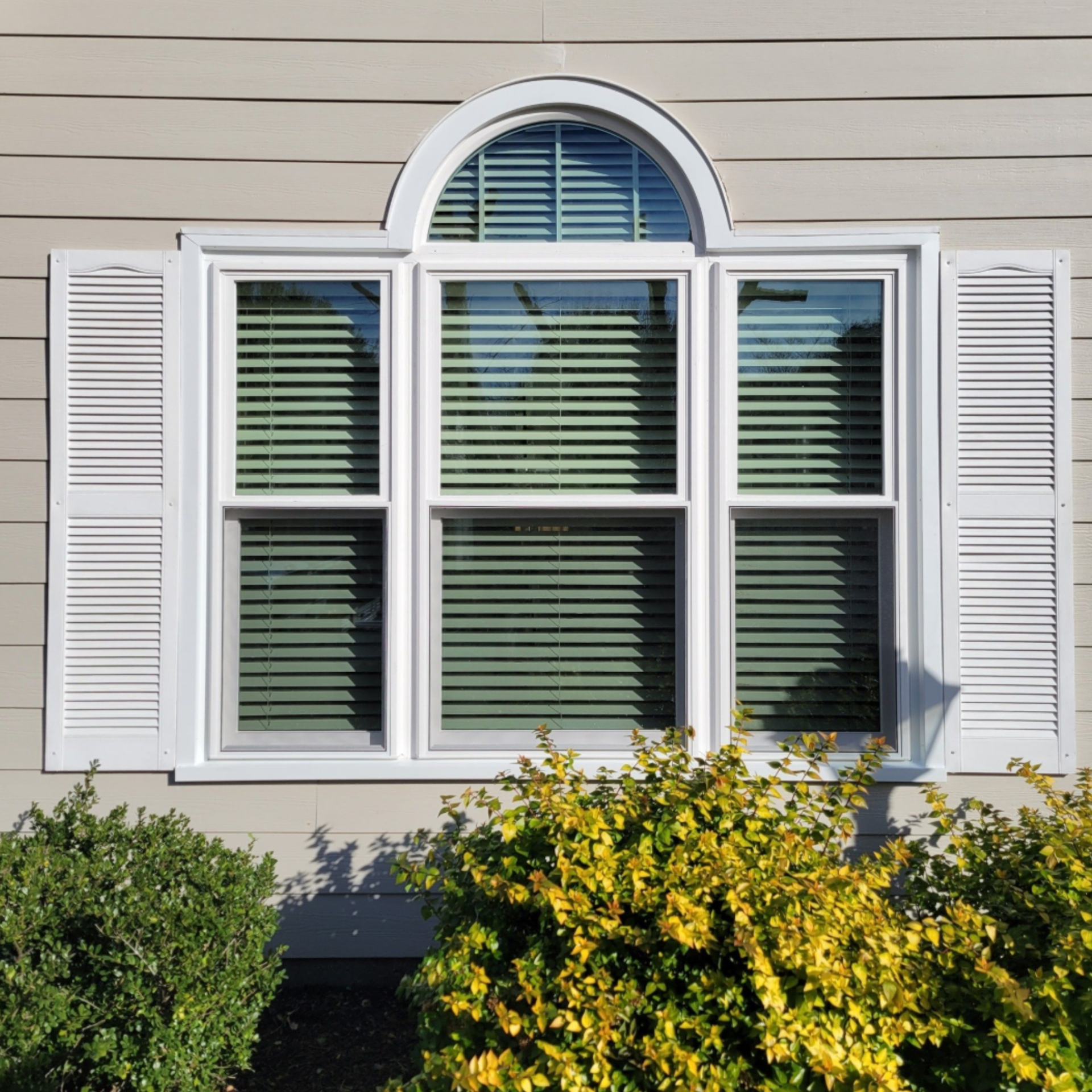 New vinyl replacement windows with white frames
