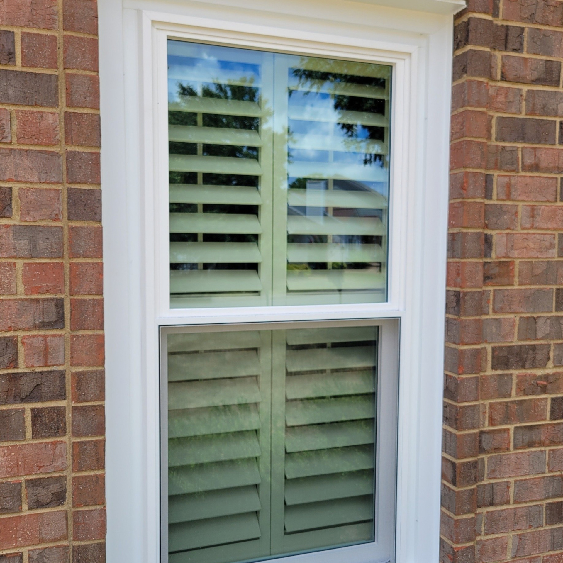 White double-hung replacement windows on residential home