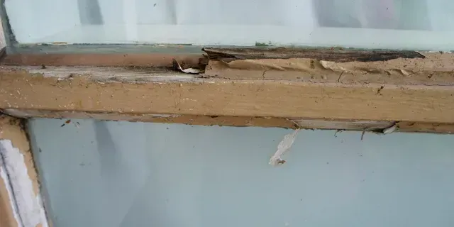 Close-up of a damaged wooden window frame with peeling paint and cracked trim.