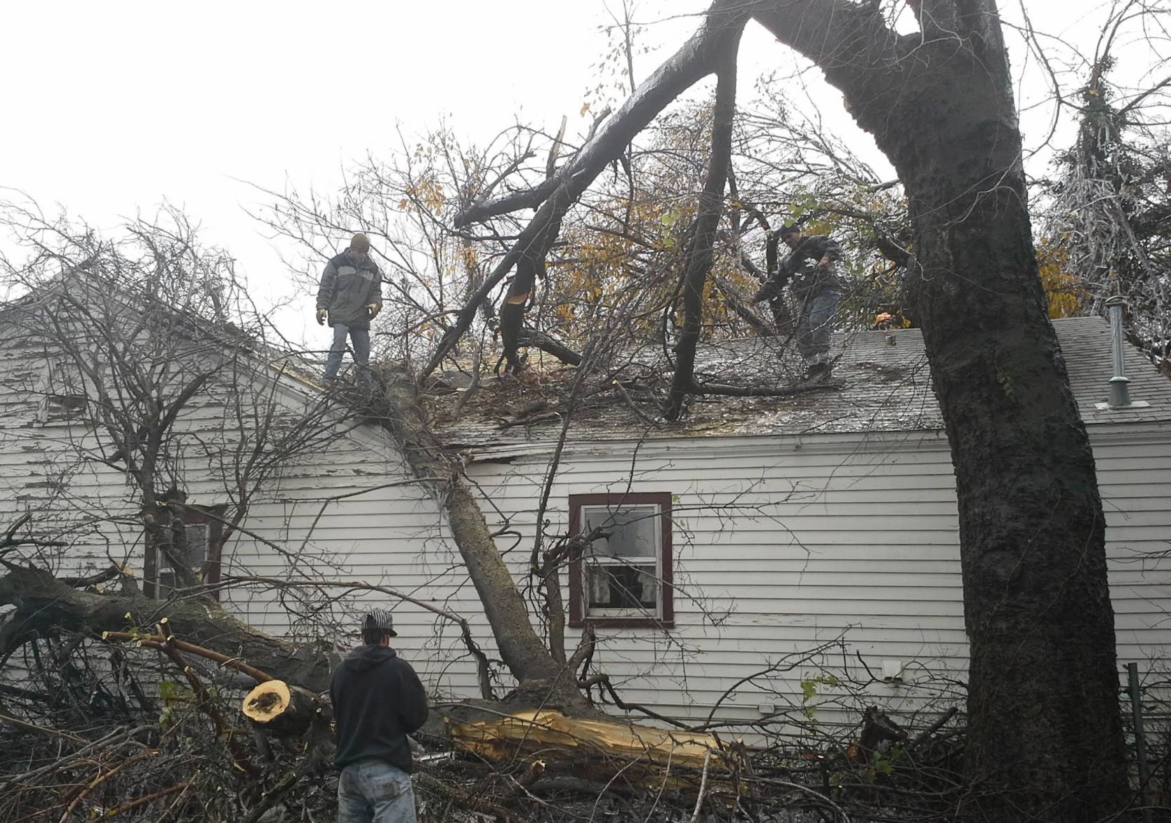 Men on a roof with a fallen tree; damage to a building after a storm.