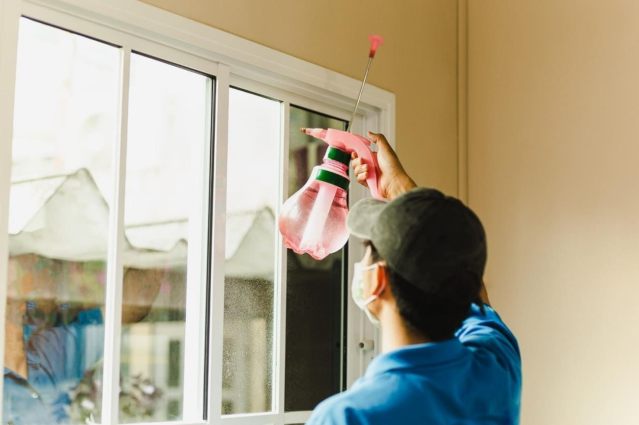 residential window tinting near me