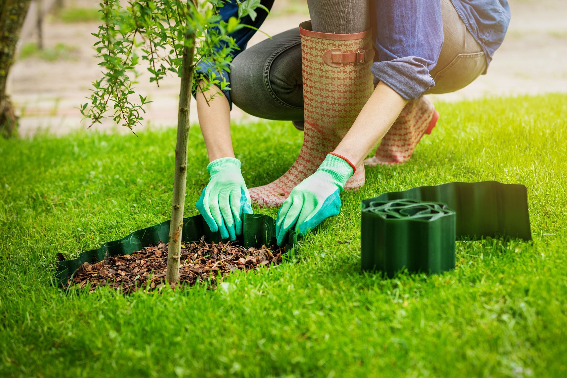 A woman is kneeling down to plant a tree in a garden.