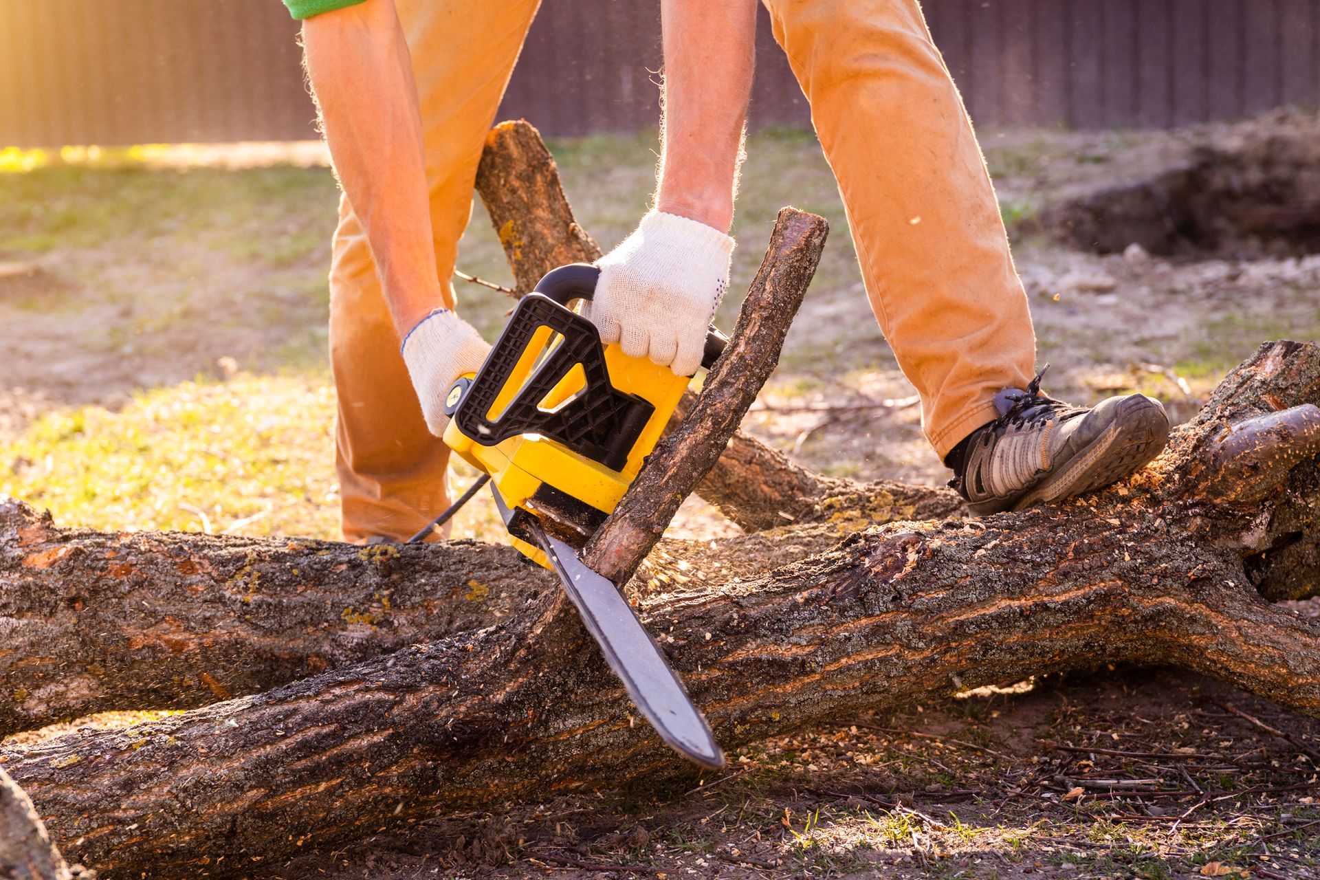 A person is cutting a log with a chainsaw.