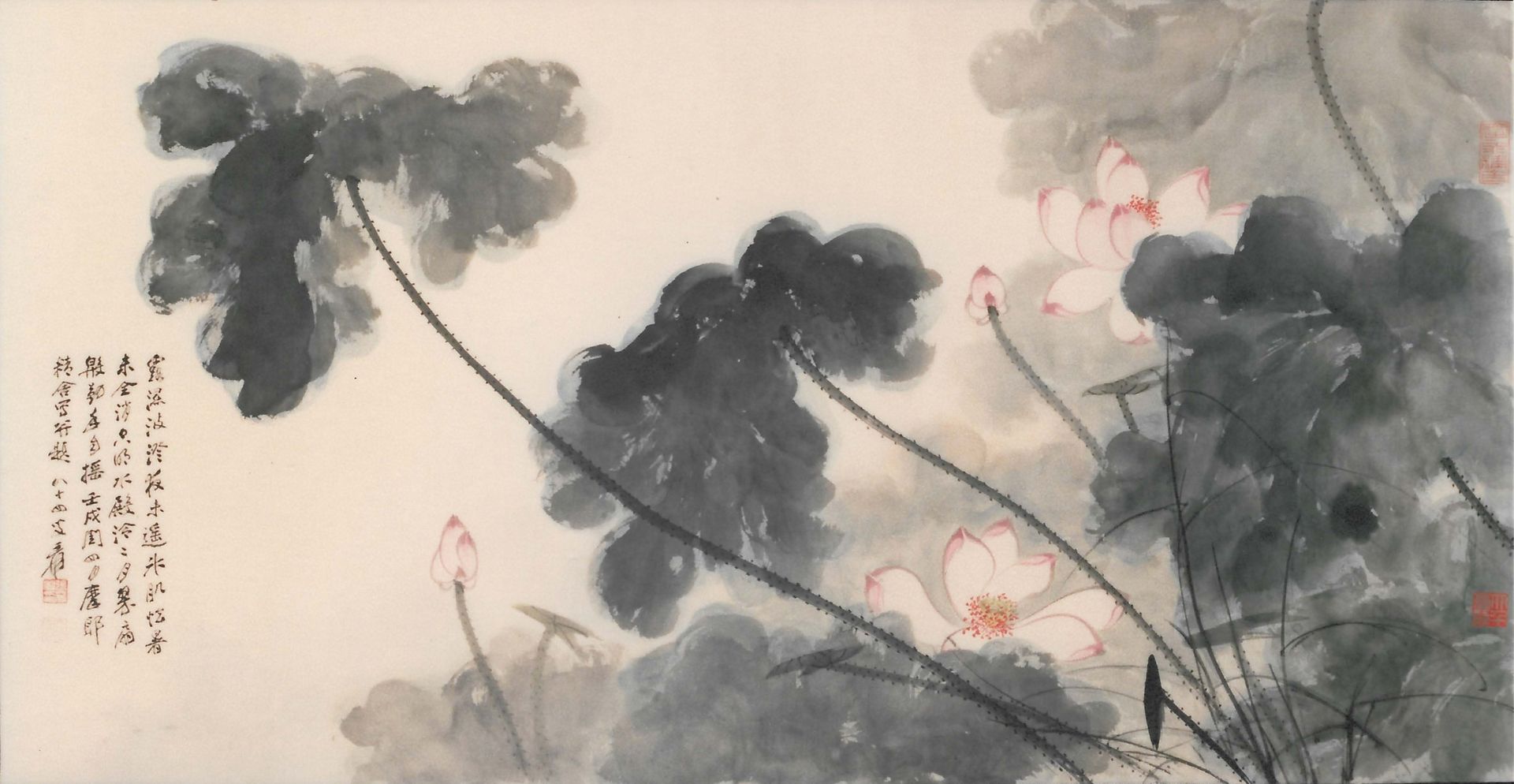 Lotus