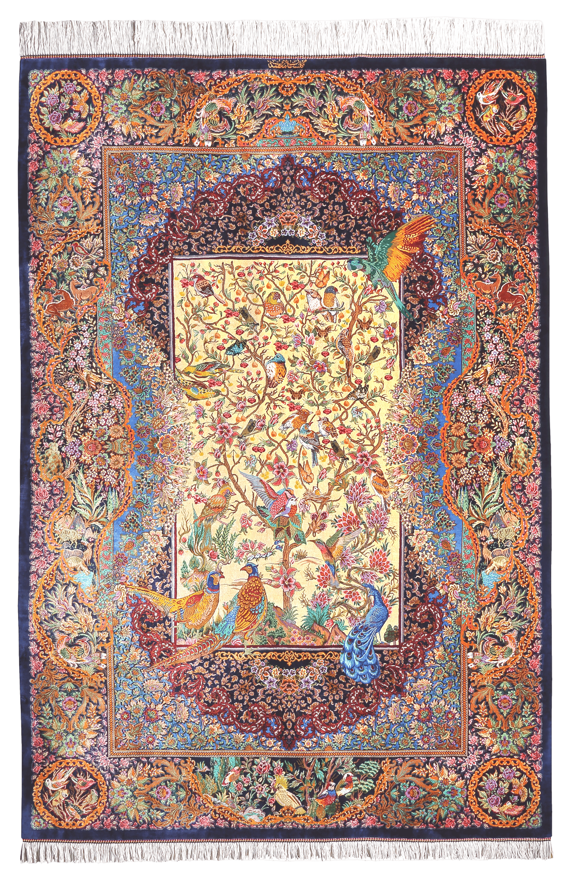 Mr. Mohammadi (Kashan)