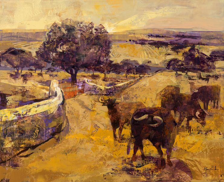 Bulls in the Field