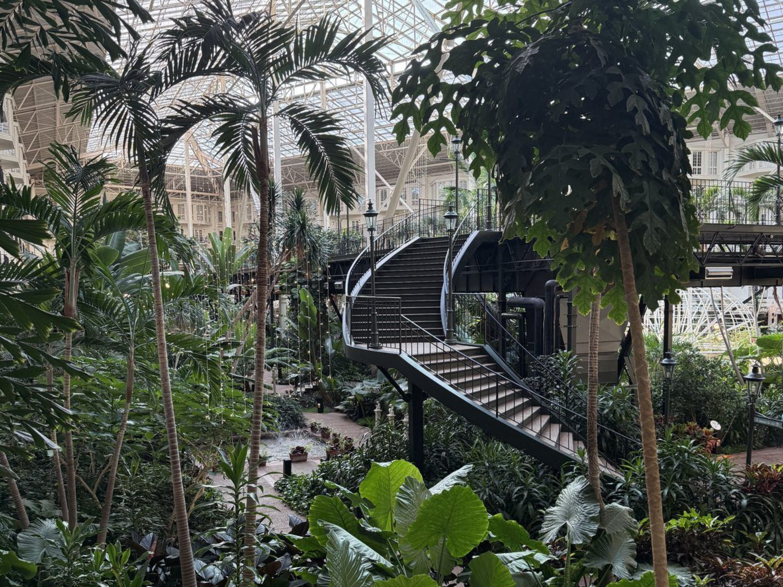 Indoor garden atrium at Gaylord Opryland with palm trees and walkways under a glass roof.