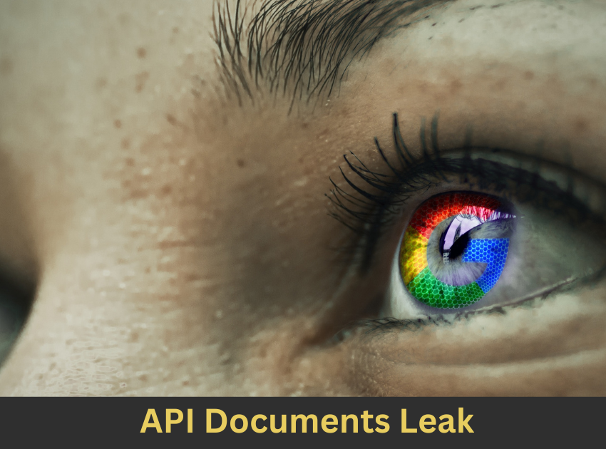 API Document Leak API Document Leak