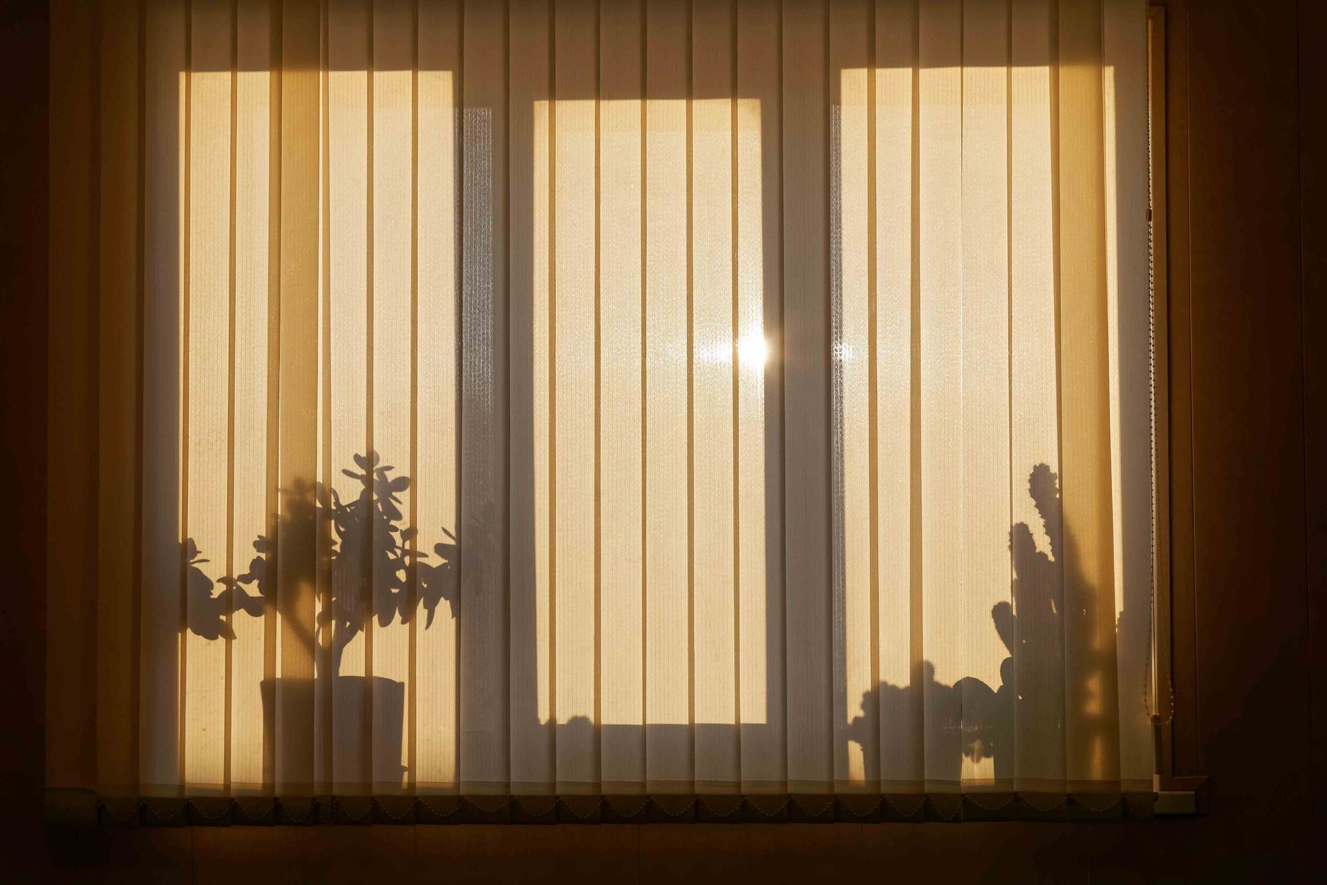 Solar Shades — Alpharetta, GA — Creative Windows By Carol
