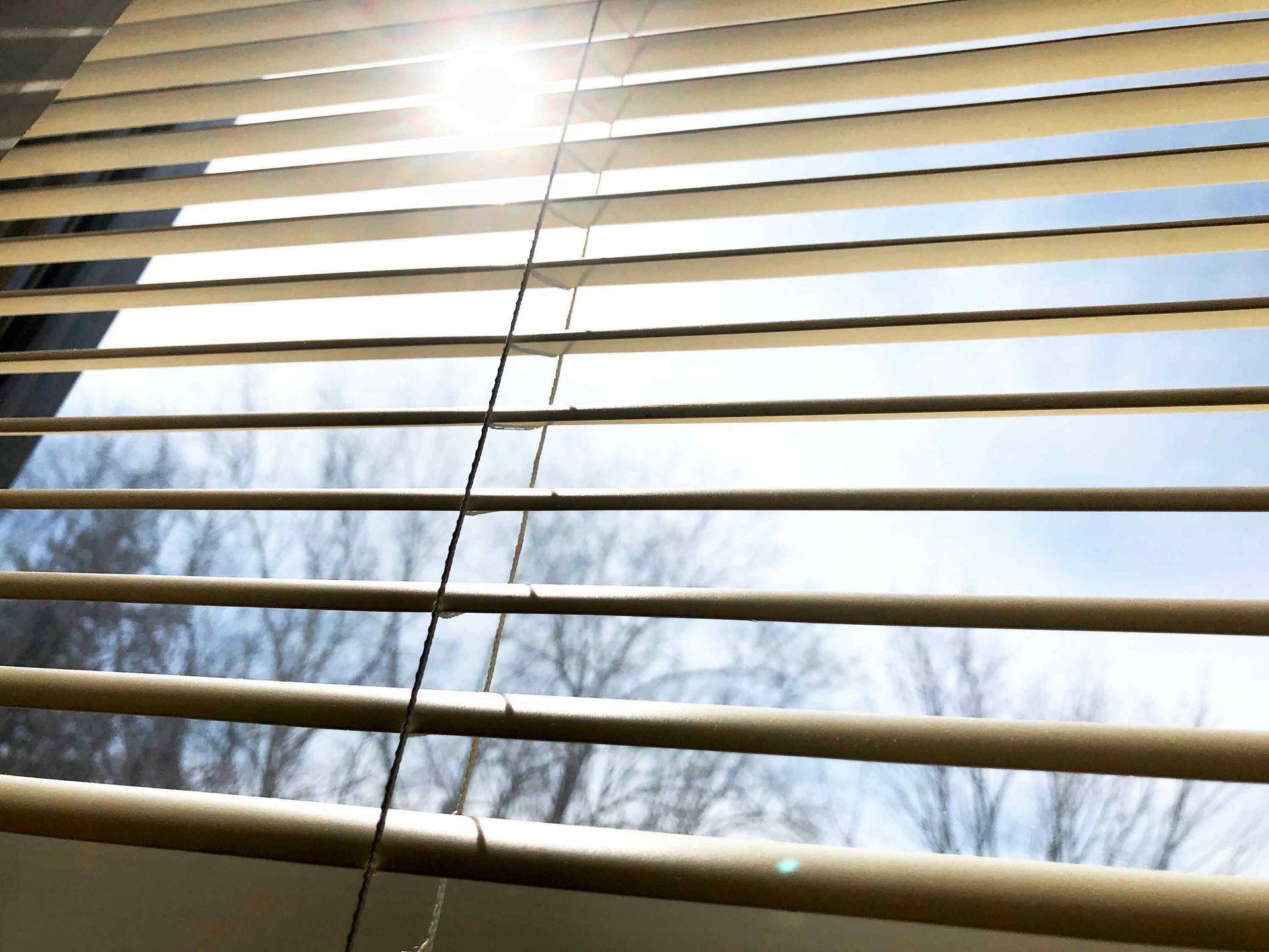 Blinds — Alpharetta, GA — Creative Windows By Carol