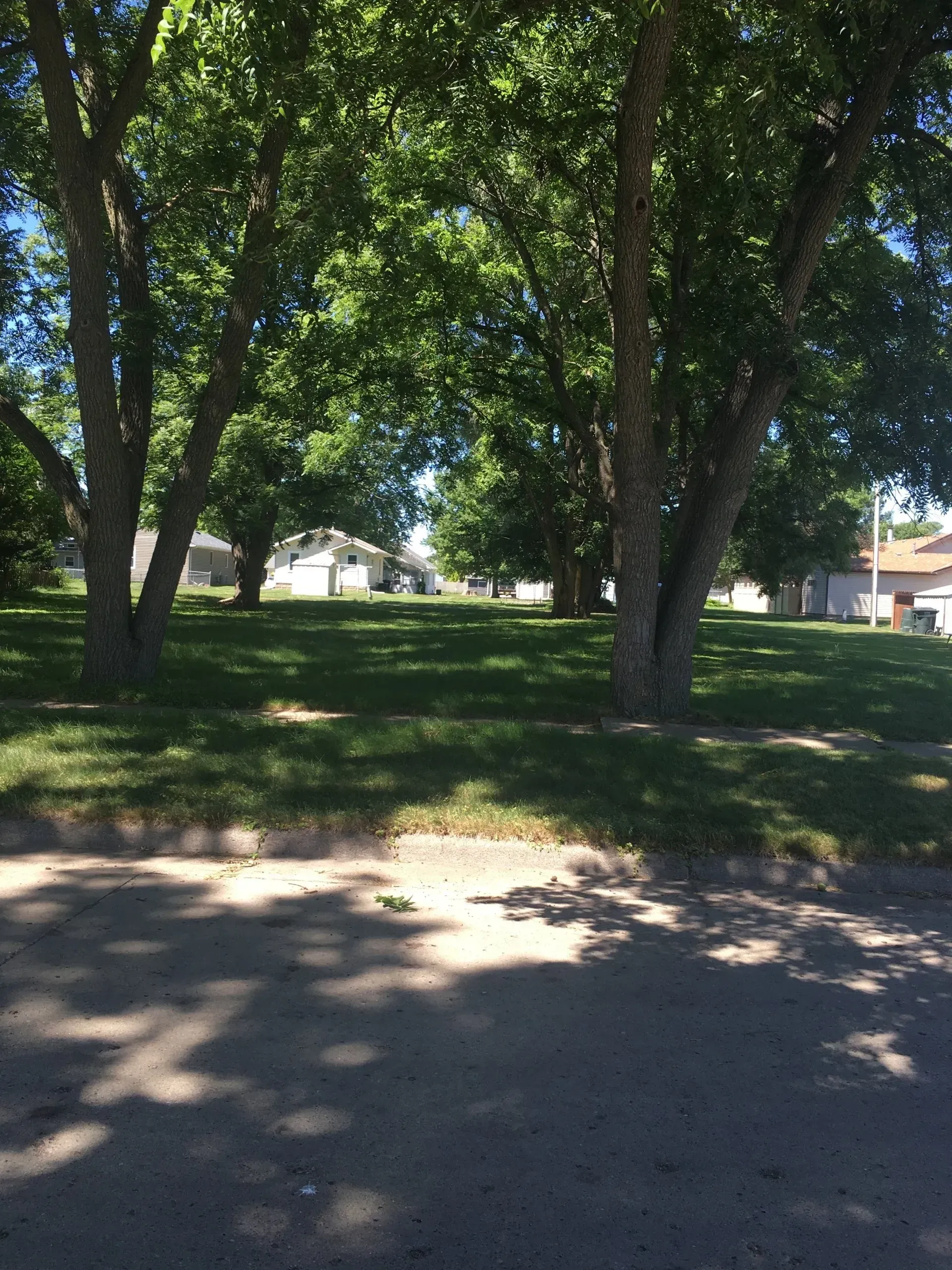 A Park With Lots Of Trees — Sioux City, IA — Construction Plus LLC