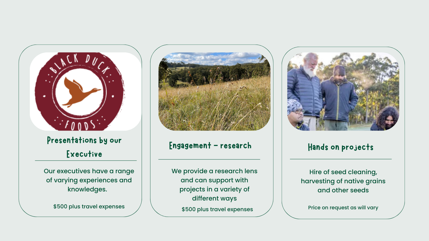 Three card layout: logo, field landscape, people on a walk. Information about projects.