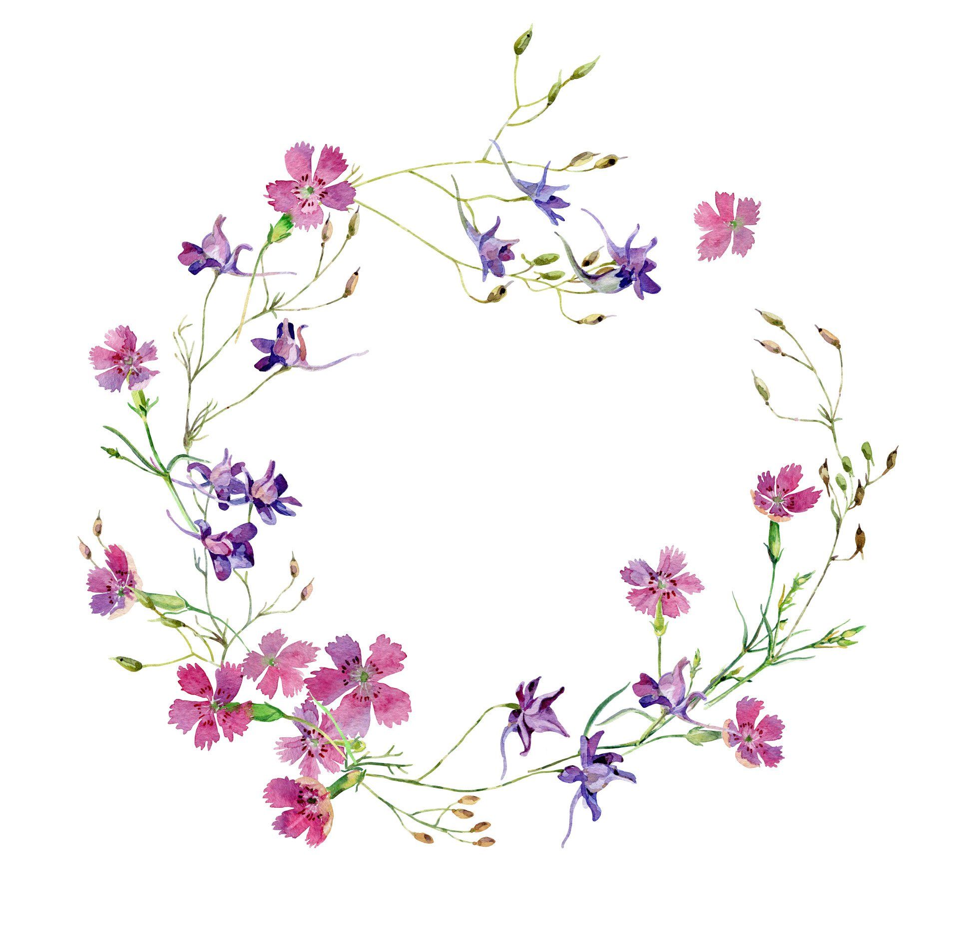 blumenkranz illustration