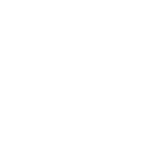 Sonne Icon