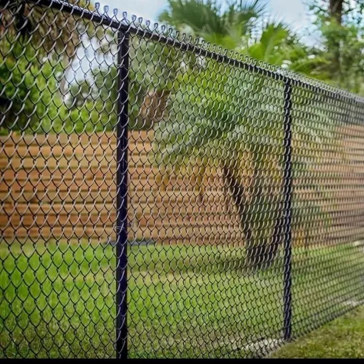 Black chain-link fence beside a grassy yard with palm trees and a tan wall in the background