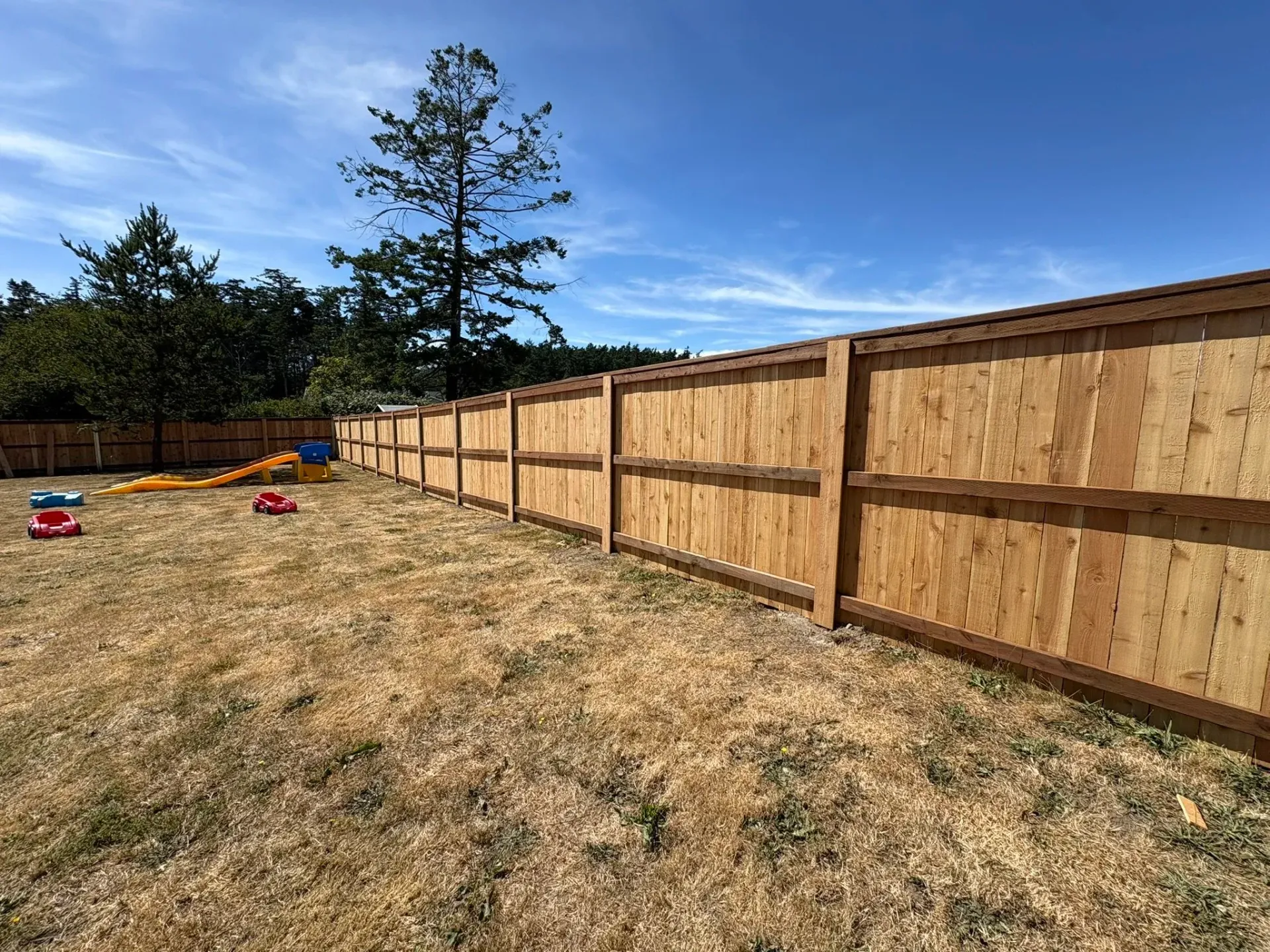 Backyard with a wooden privacy fence, dry grass, and a blue sky