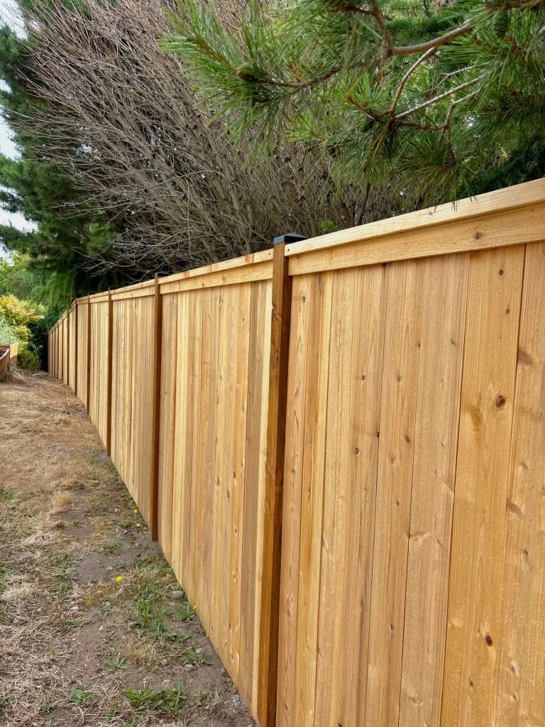 Wooden backyard fence with a central gate and pergola, beside a house and grass lawn.