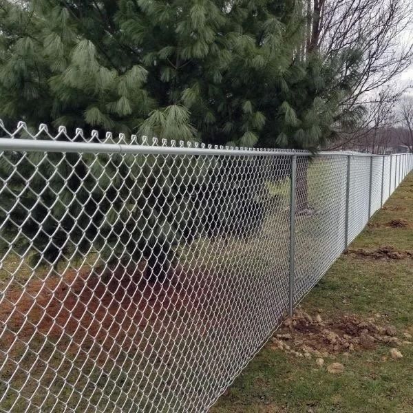 Chain-link fence along a grassy yard beside evergreen trees on an overcast day