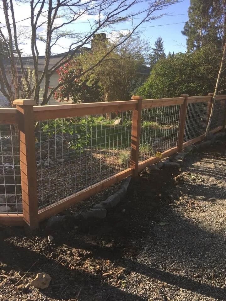 Wooden fence with wire mesh along a garden path beside trees and shrubs in sunlight