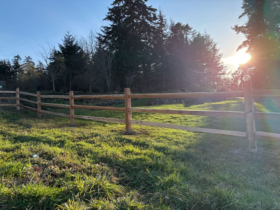 Sunlit grassy field with wooden fence and tall trees at sunset