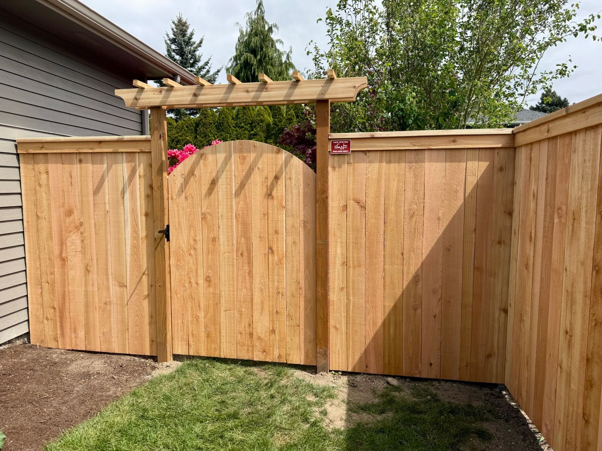 Wooden backyard gate and fence with a pergola arch over the center panel
