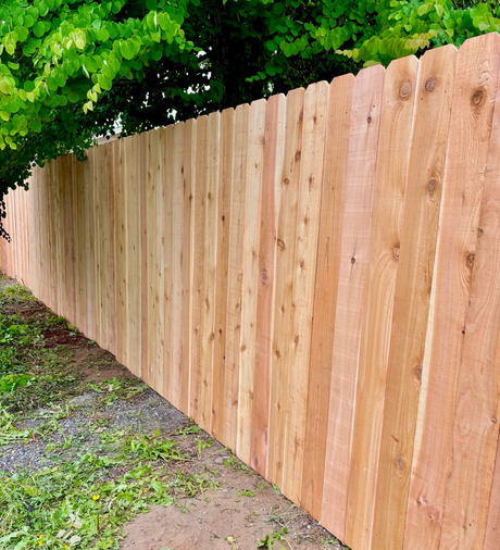 New wooden privacy fence along a gravel path, with green trees overhead