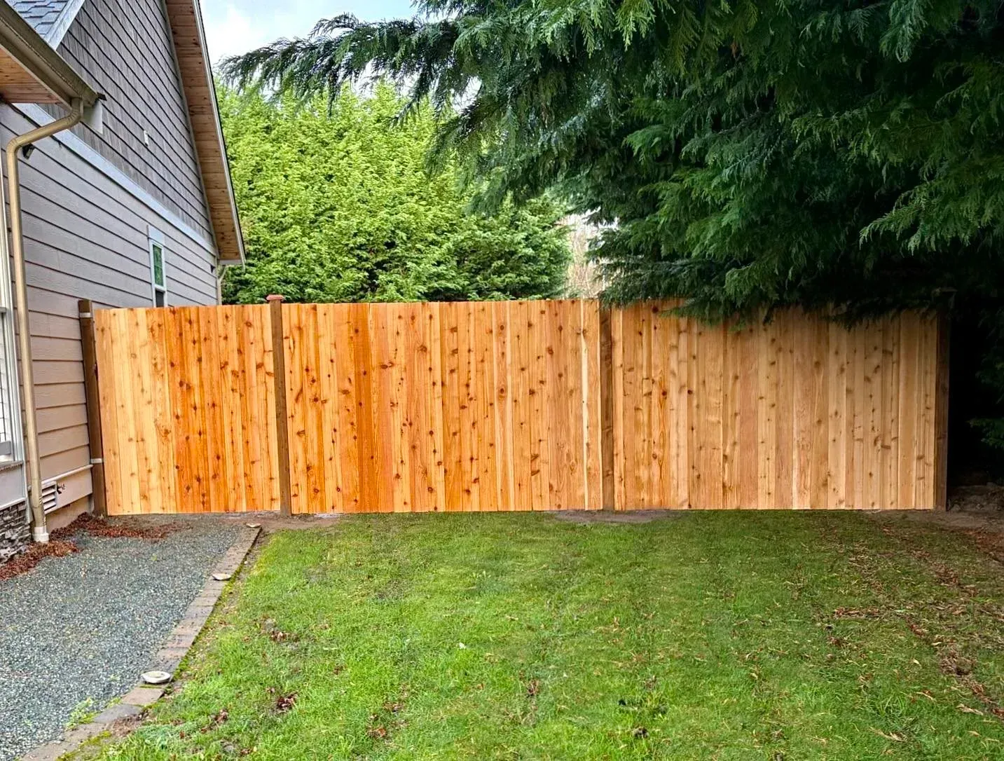 Wooden privacy fence along a house beside a grassy yard and gravel path, with trees overhead