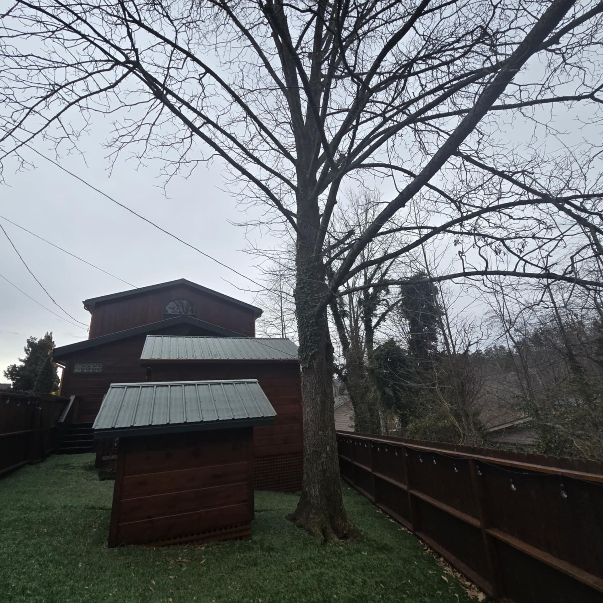 A wooden shed with a metal roof sits next to a tree