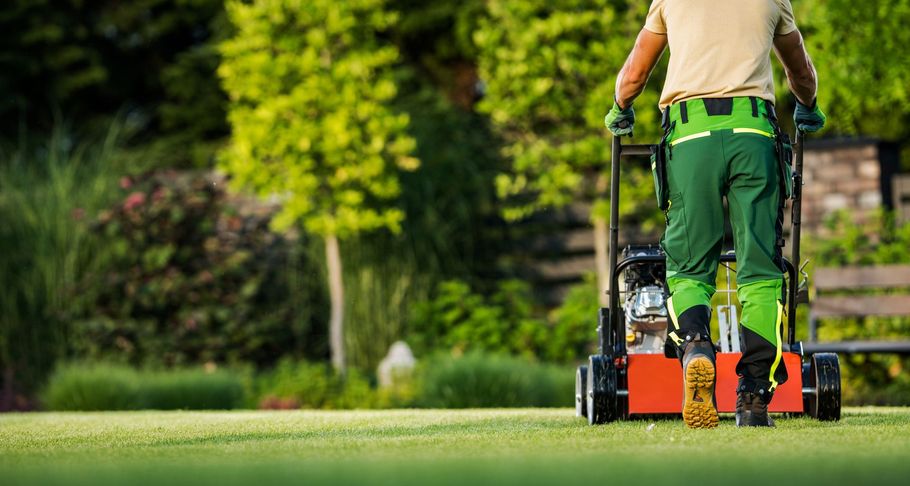 Person pushing a lawn mower across a green lawn in a garden.