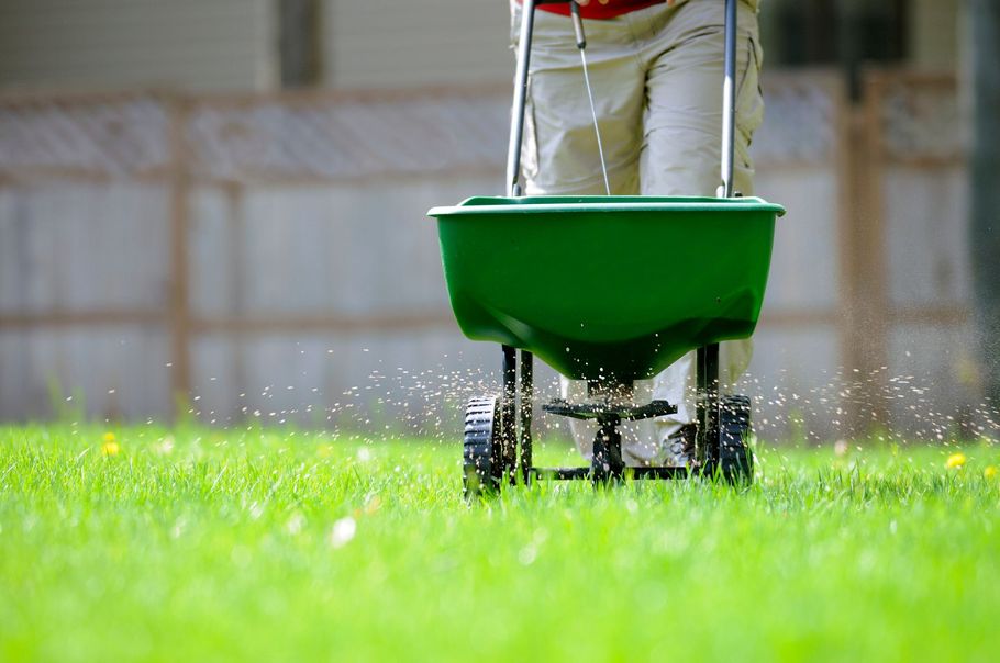 Person spreading fertilizer on a green lawn with a wheeled spreader