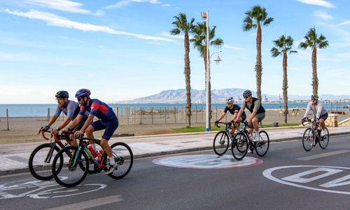 Cyclists riding along a seaside promenade with palm trees and mountains in the background