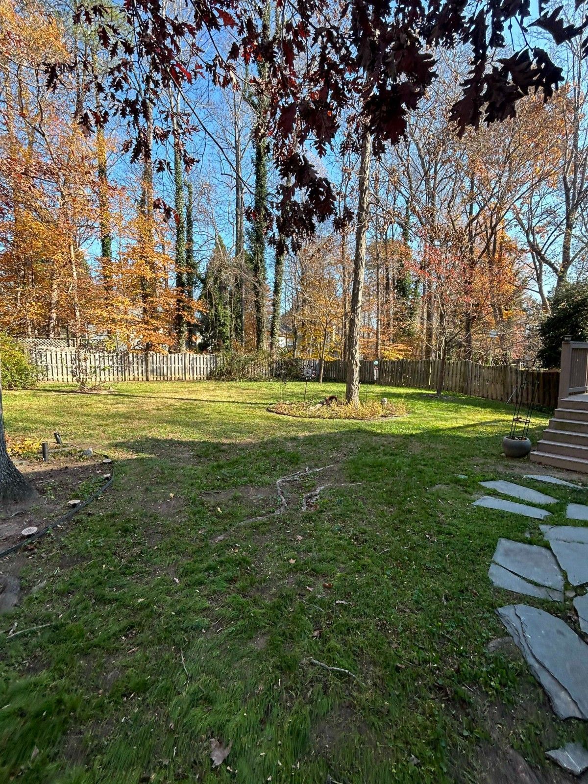 Backyard garden with green lawn, stone path, and autumn trees under a clear blue sky
