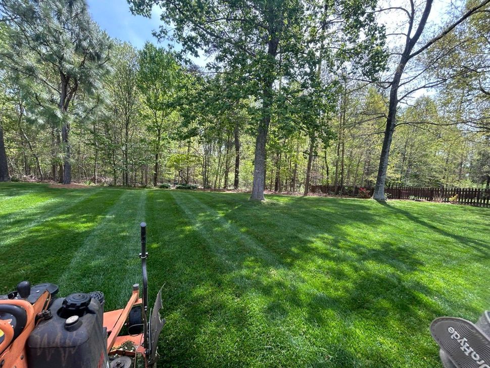 Lawn mower in a green backyard with trees and sunlight
