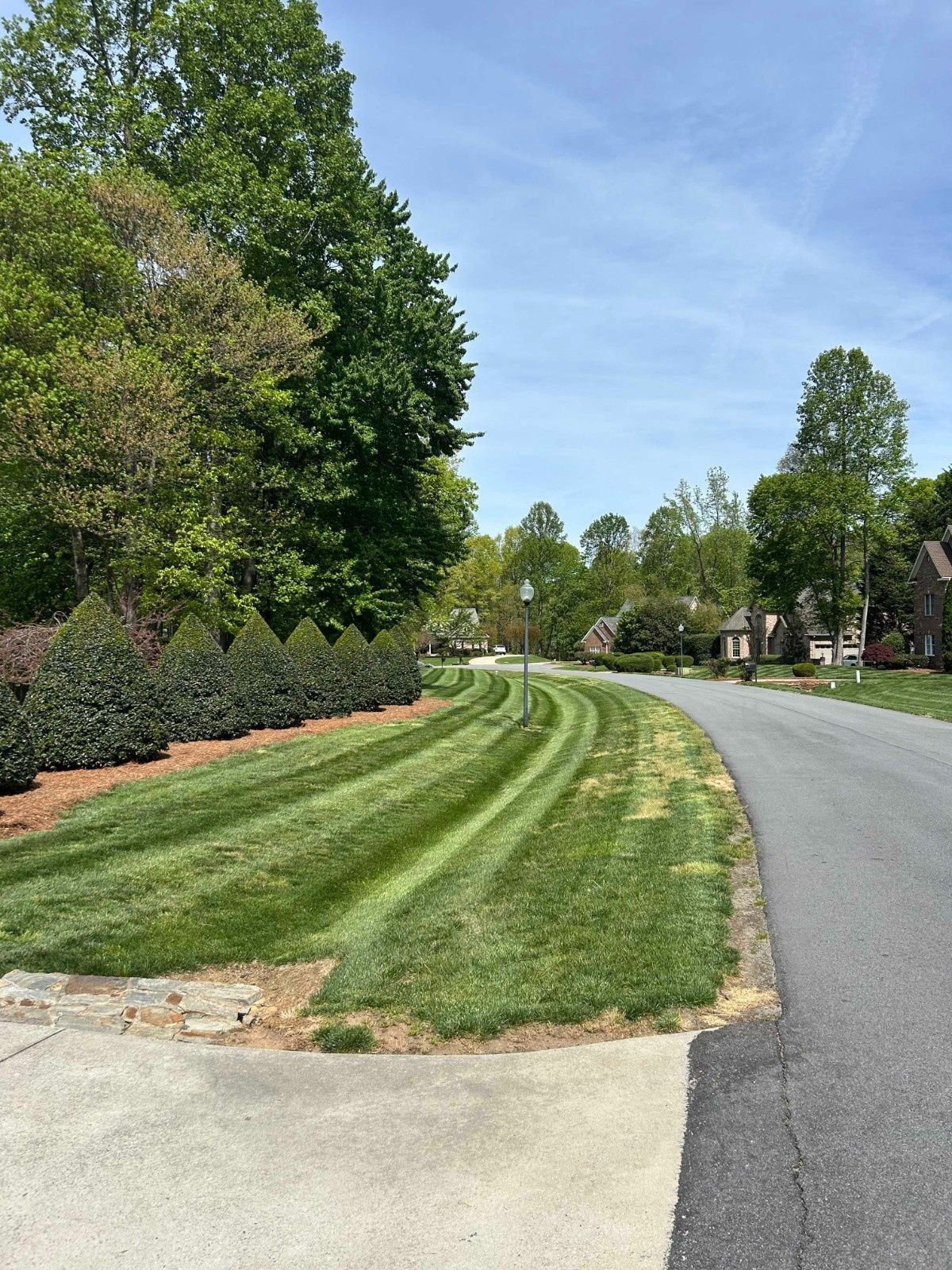 Curved suburban road beside a mowed grassy verge, trees, and landscaped shrubs under a clear blue sky