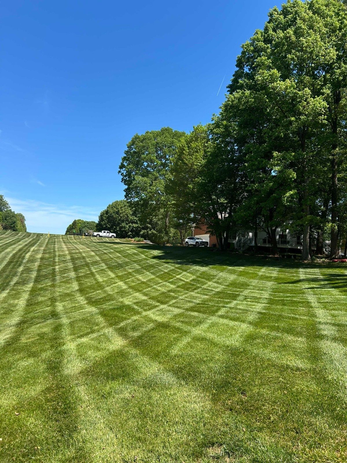 Sunny grassy lawn with striped mowing patterns and trees under a clear blue sky
