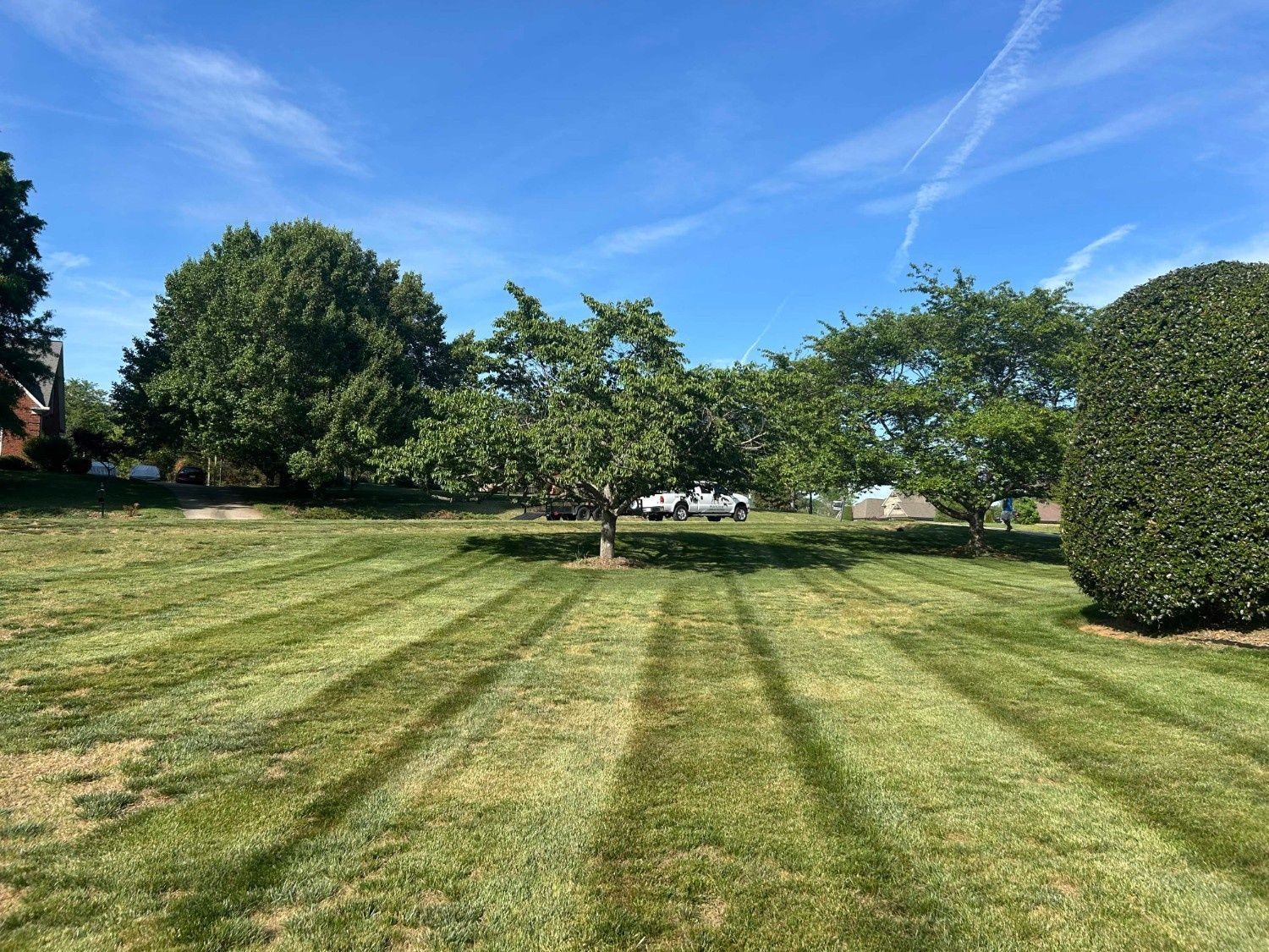 Sunny park lawn with striped grass, trees, and blue sky