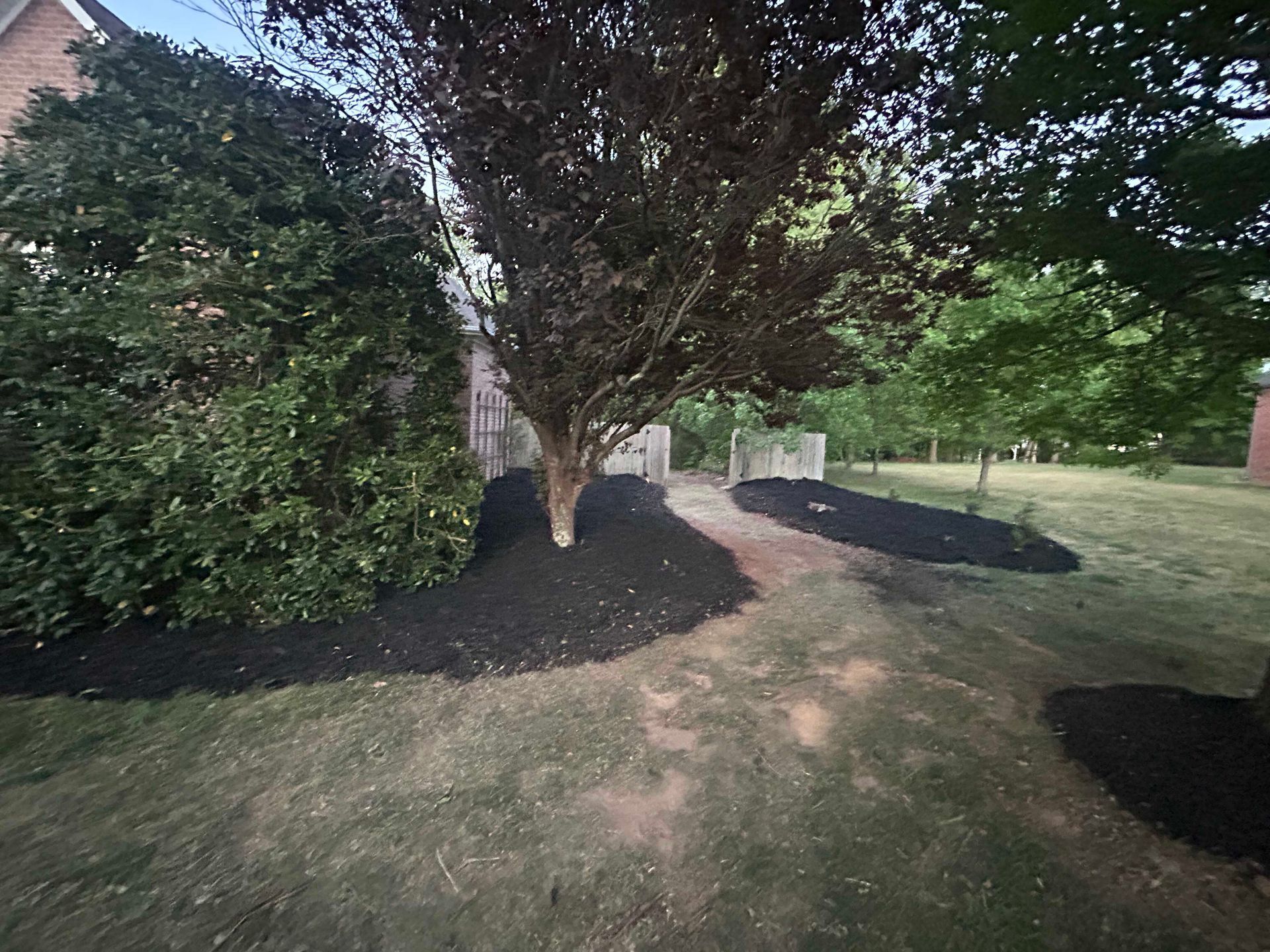 Grassy park with large trees, mulch beds, and a dirt path curving through the scene.