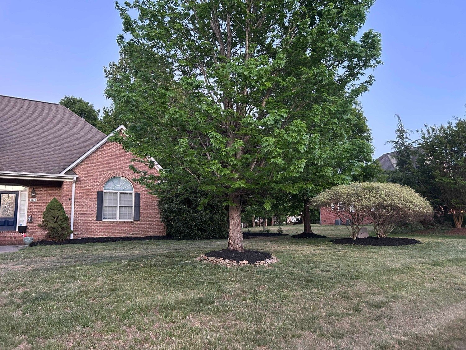 Brick house with a large front yard and a tall tree centered in the lawn.