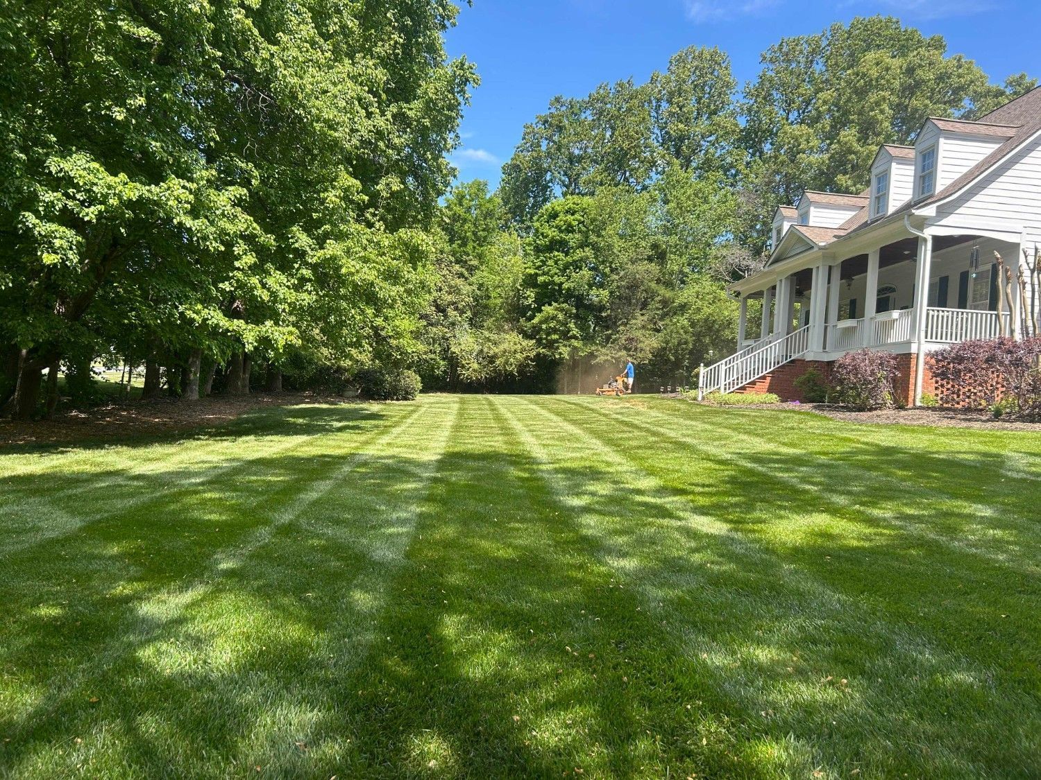 Sunny lawn beside a white house with porch, bordered by trees and red shrubs