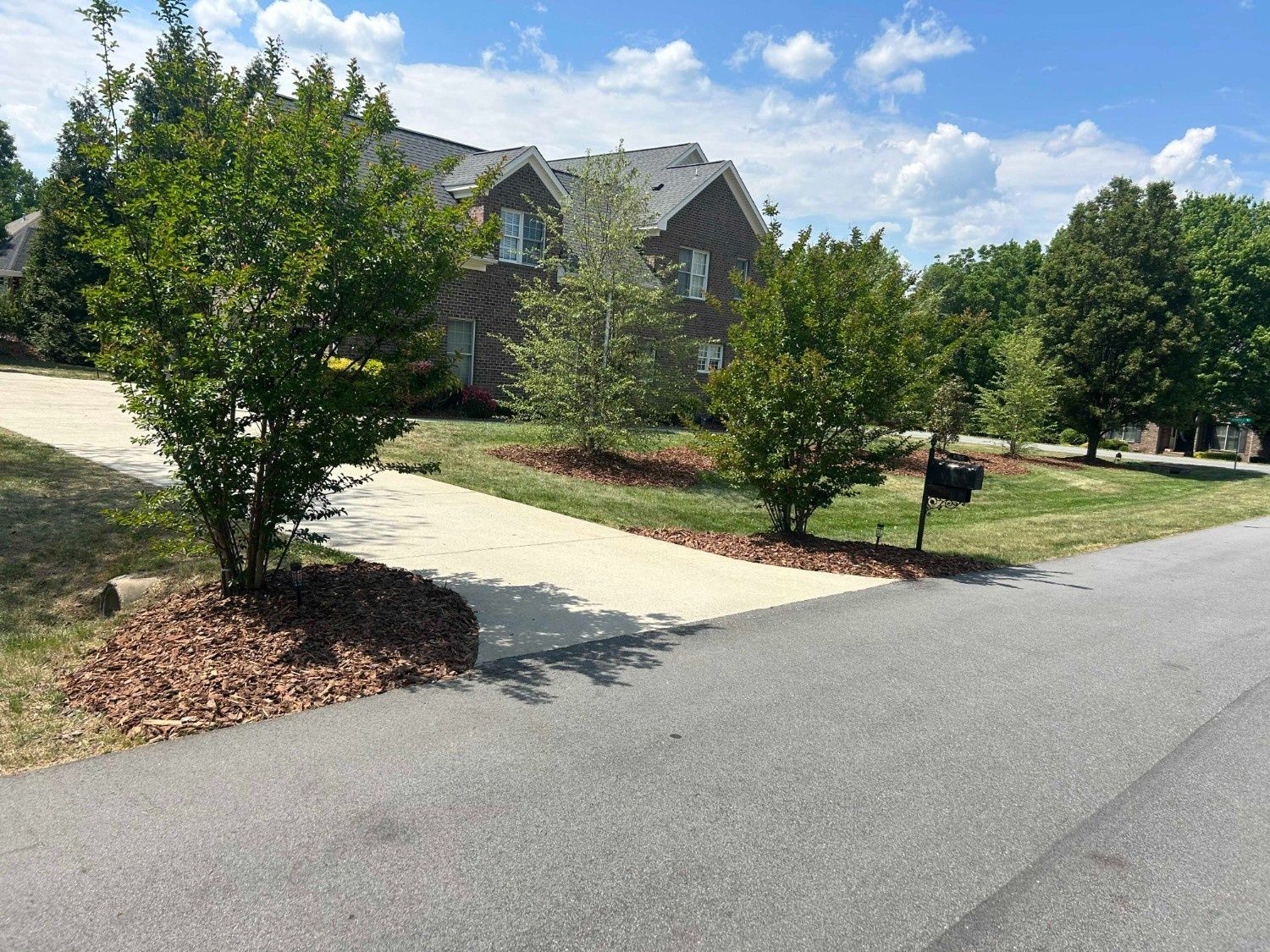 Suburban street with houses, trees, and a curved sidewalk on a sunny day