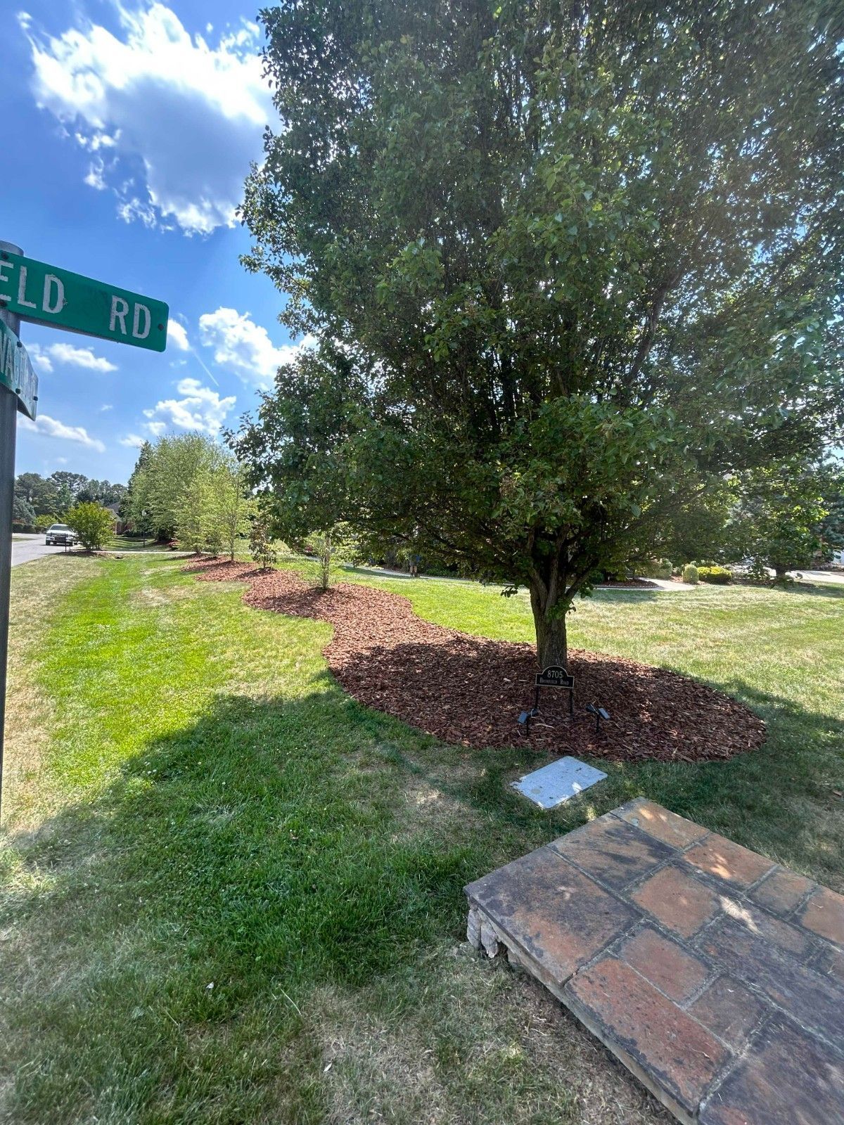 Tree beside sidewalk and road sign on a sunny grassy corner with a brick step in the foreground